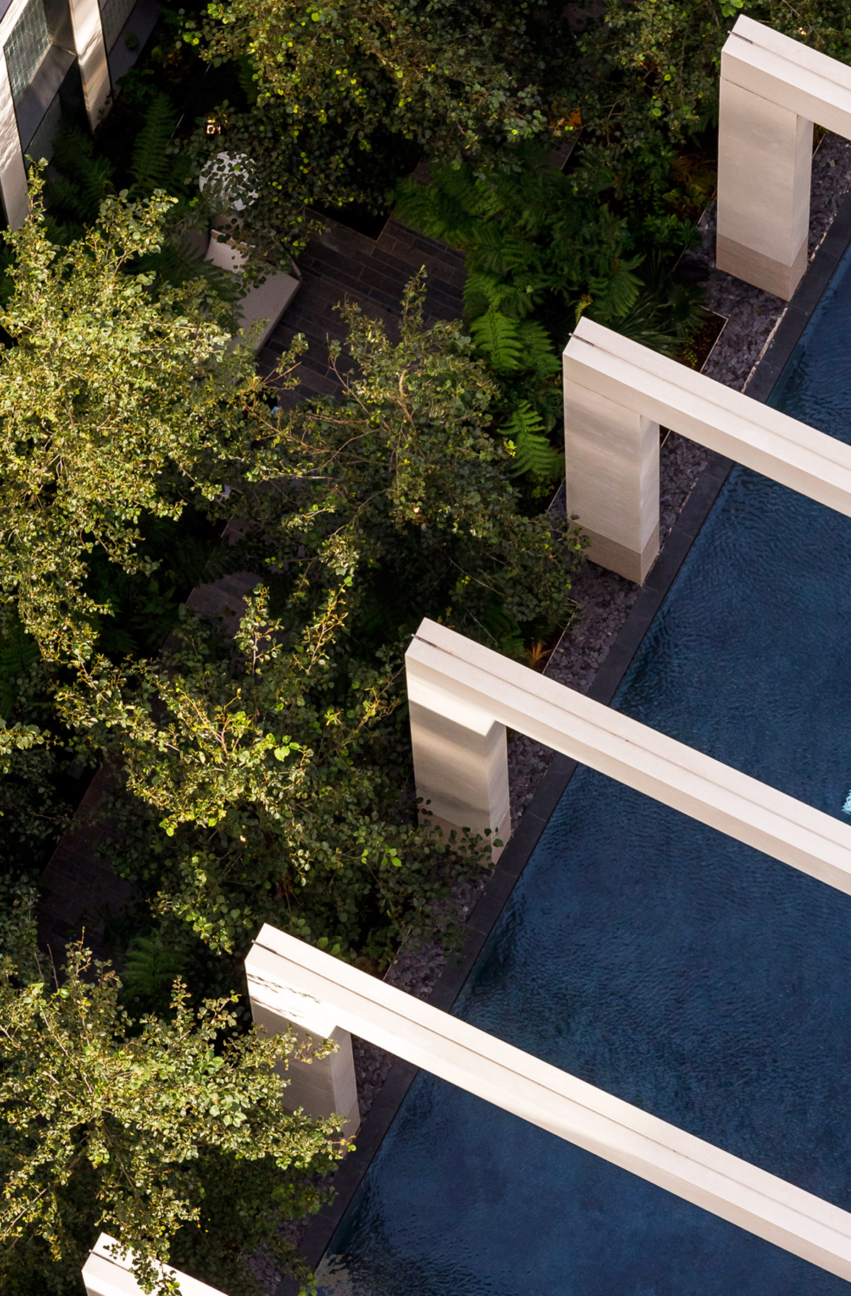 Architectural - The Wardian Ballymore